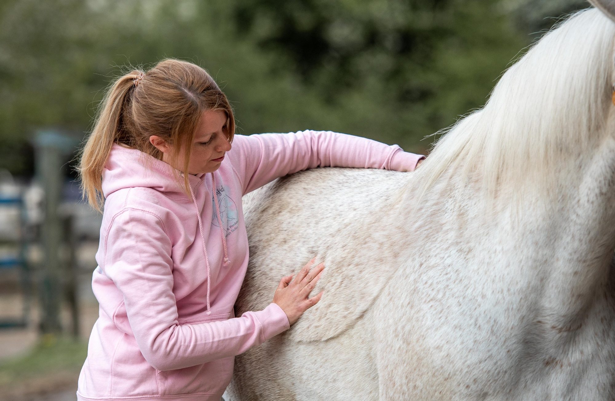 Sarah Dolfen von Tierisch Quietschfidel schaut mit einem Pferd zusammen auf den Trainingsplan