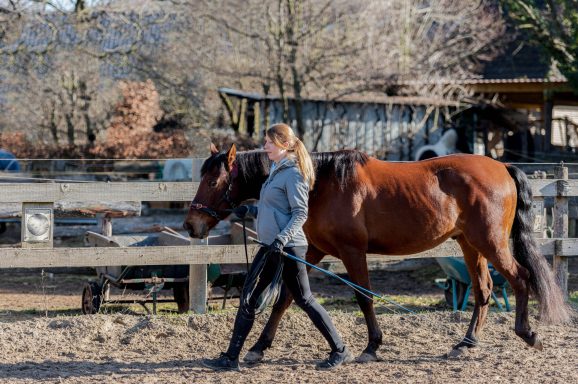 Sarah Dolfen von Tierisch Quietschfidel beim Pferdetraining