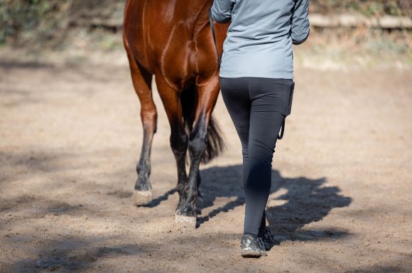 Sarah Dolfen von Tierisch Quietschfidel beim Pferdetraining