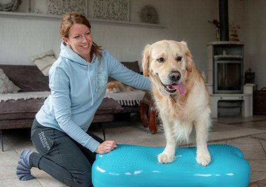 Sarah Dolfen von Tierisch Quietschfidel bei der Hundephysiotherapie (Fitness)