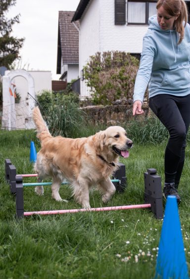 Sarah Dolfen von Tierisch Quietschfidel bei der Hundephysiotherapie(Cavaletti)