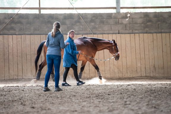 Sarah Dolfen von Tierisch Quietschfidel beim Longierkurs