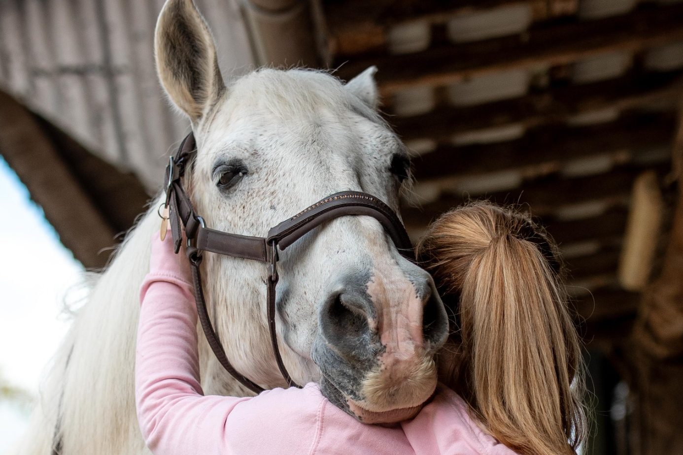 Sarah Dolfen von Tierisch Quietschfidel bei der Pferdeosteopathie