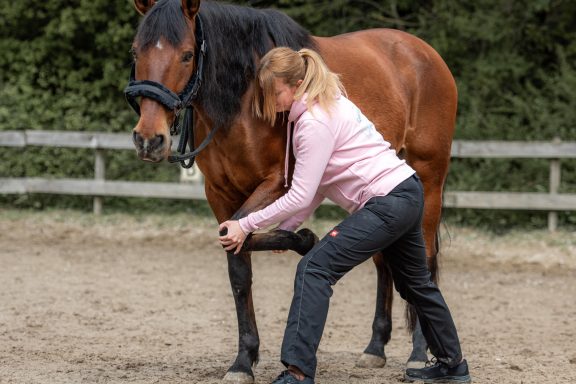 Sarah Dolfen von Tierisch Quietschfidel bei der Pferdephysiotherapie (Schulter-Mobilisation)