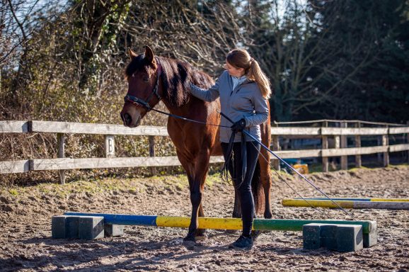 Sarah Dolfen von Tierisch Quietschfidel beim Pferdetraining