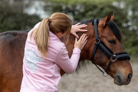 Sarah Dolfen von Tierisch Quietschfidel bei der Pferdephysiotherapie (Massage am Pferdehals)