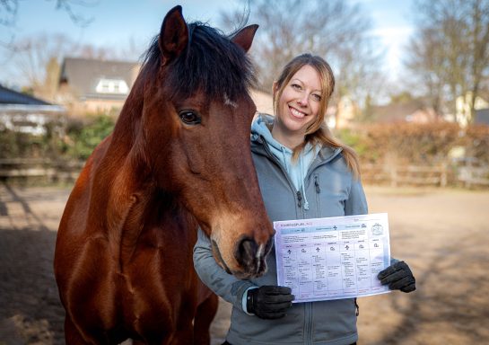 Sarah Dolfen von Tierisch Quietschfidel und ihr Pferd zeigen einen Trainingsplan