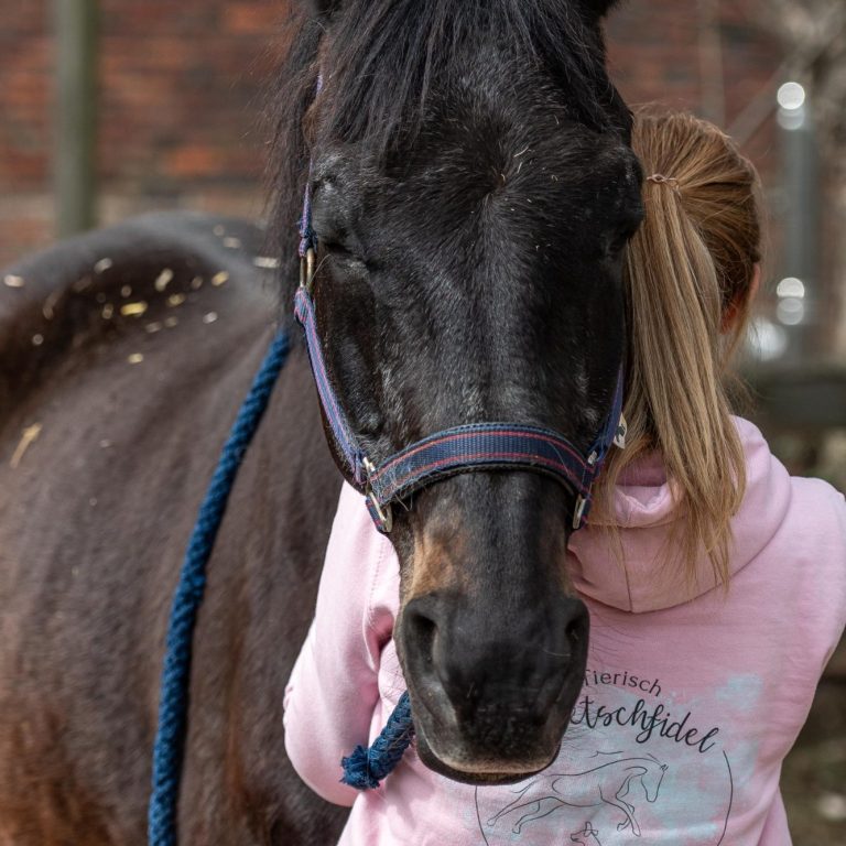 Sarah Dolfen von Tierisch Quietschfidel, wie sie ein Pferd osteopathisch behandelt.