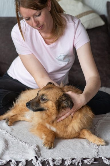 Sarah Dolfen von Tierisch Quietschfidel bei der Hundeosteopathie