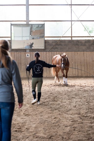 Sarah Dolfen von Tierisch Quietschfidel beim Longierkurs